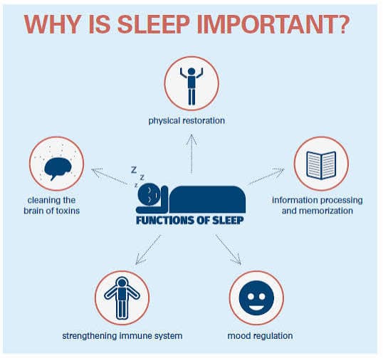 Why sleep matters for school success