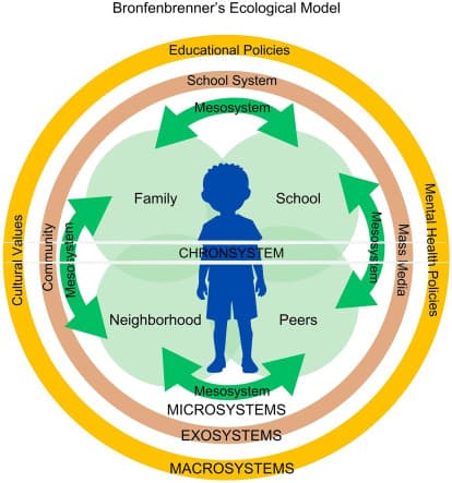 On Student Ecosystems