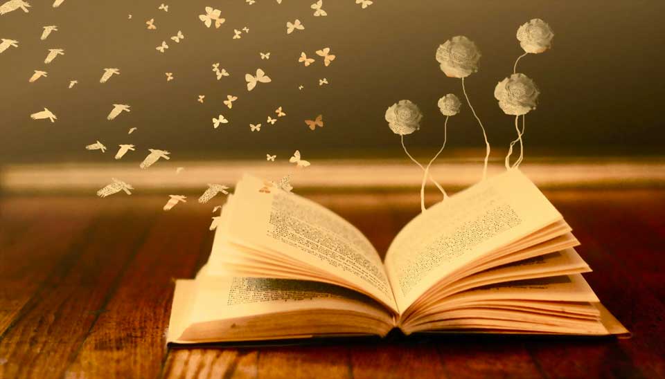 Why reading is so important