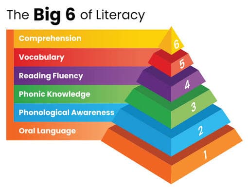 Supporting Literacy in Primary School Children