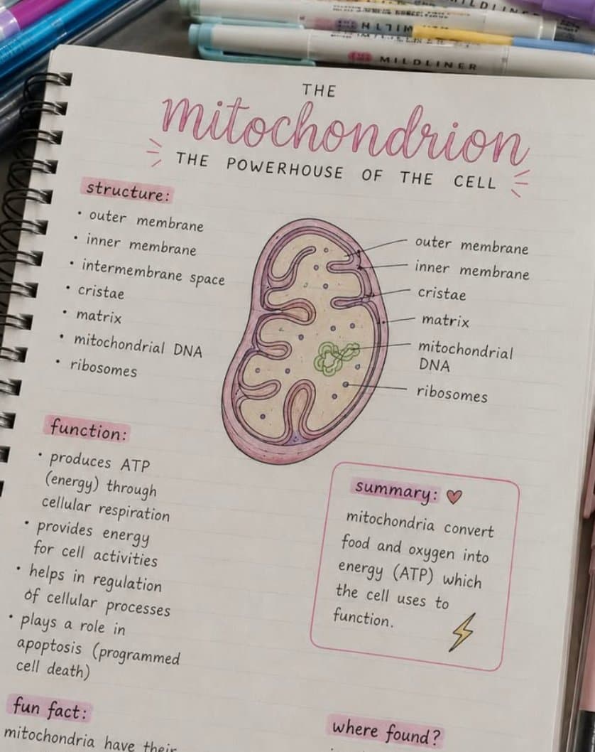 How to get motivated to study